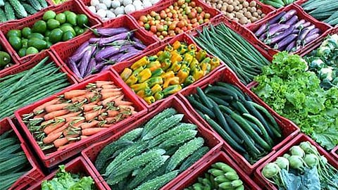 Vegetable Crate 