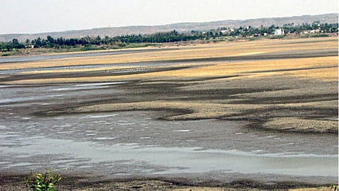 Pre-Monsoon Rain : सोलापूर जिल्ह्याच्या काही भागांत मॉन्सूनपूर्व पावसाची हजेरी