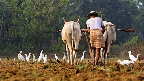 Agriculture Cultivation 