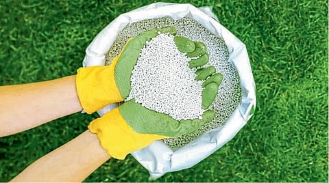 Fertilizer