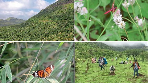 Biodiversity Prosperity