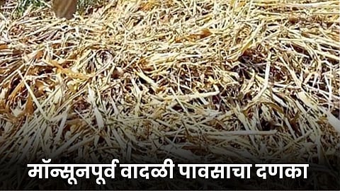Fodder Damage