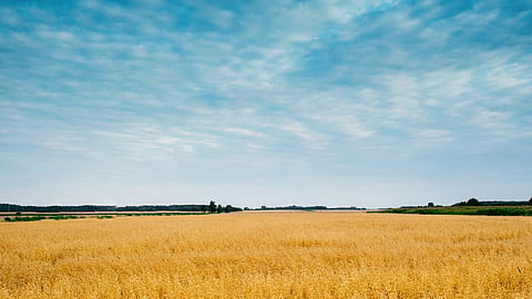 Agriculture Weather