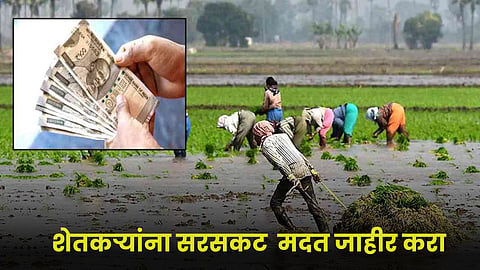 Crop Damage