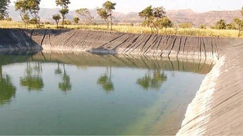 Farm Pond
