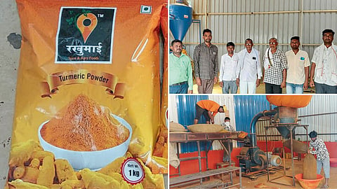 Turmeric Processing Industry