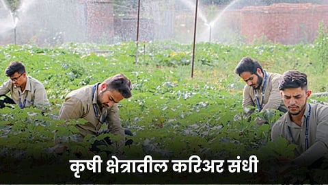 Agriculture Sector