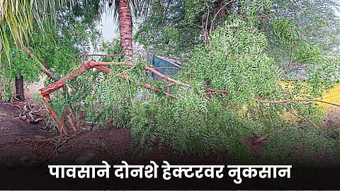Heavy Rain Damage