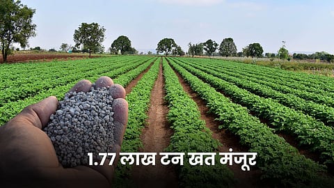 Agriculture Fertilizer 