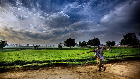 Indian Agriculture
