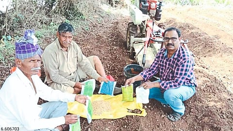 Seed Processing