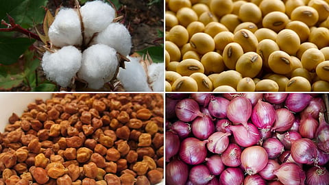 Agriculture Market