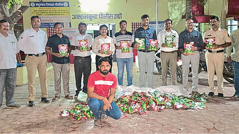 Illegal Cotton Seed 