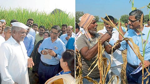 Drought Monitoring 