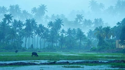 Monsoon 