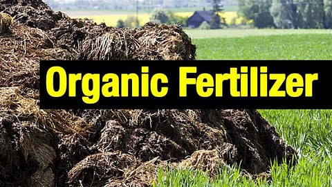Organic Fertilizer