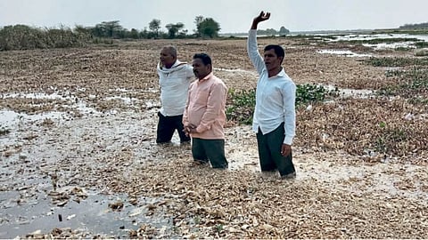 Farmer Movement