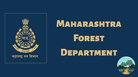 Forest Department