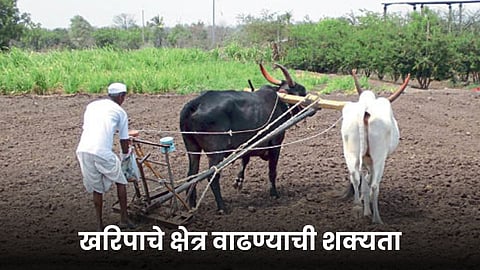 Kharif Agriculture