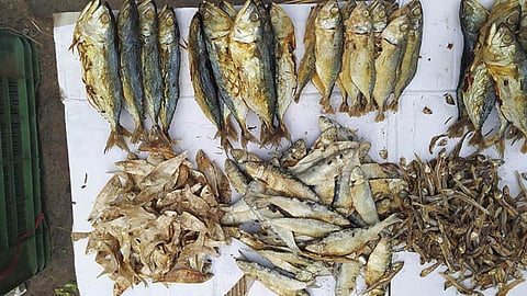 Fish Market