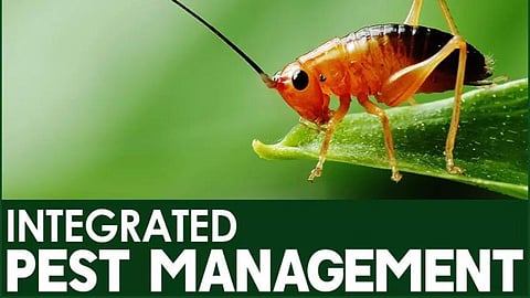 Integrated Pest Management