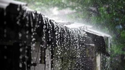 Monsoon