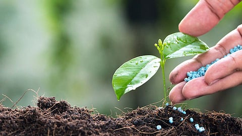 Agriculture Fertilizers