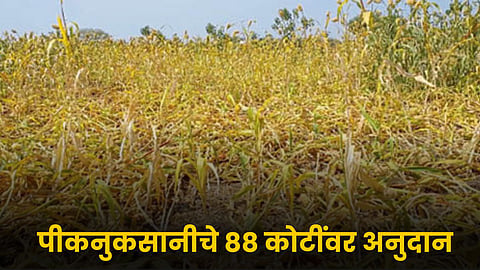 Agriculture Subsidy