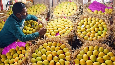 Vegetable Market