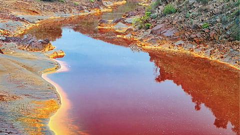 River Pollution