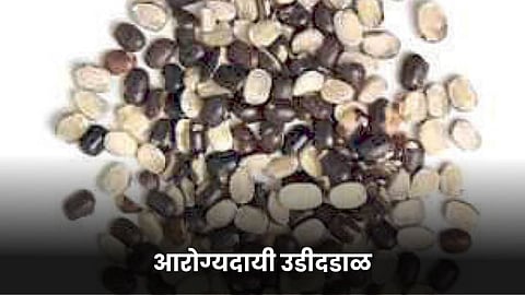 Urad Dal