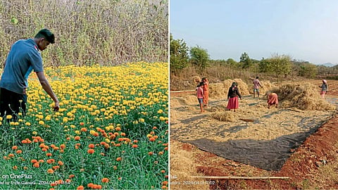 Agriculture
