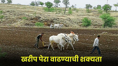 Kharif Sowing