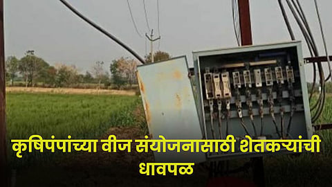 Agriculture Electricity 