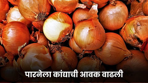 Onion Update 