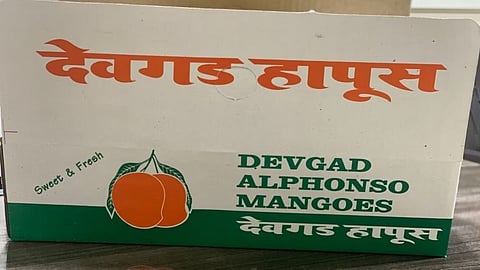 Devgad Hapus