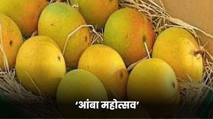 Mango Festival 