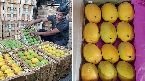 Mango Market 