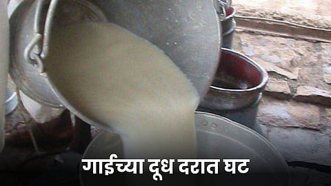 Milk Rate