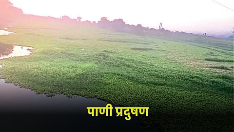 Water Pollution 
