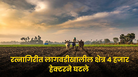 Agriculture Update
