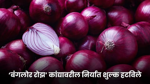 Onion