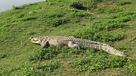 Dudhganga river