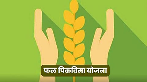 Fruit Crop Insurance Scheme