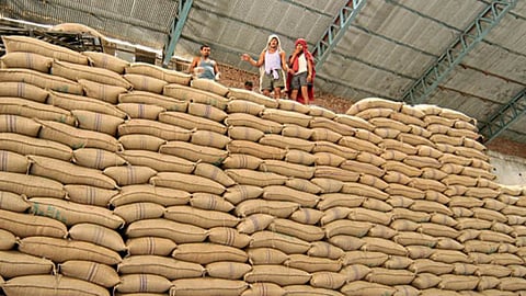 Sugar Export