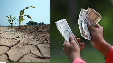 Drought Subsidy