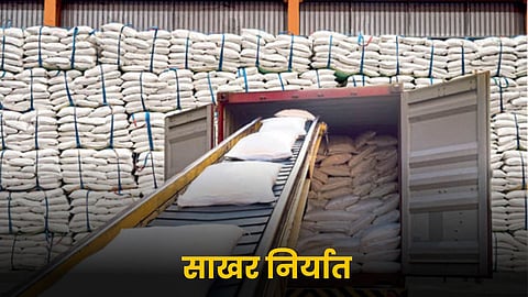 Sugar Export 