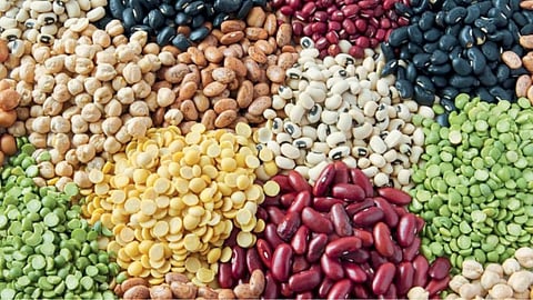 Agricultural Market 