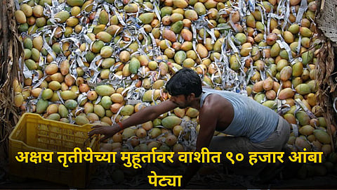 Mango Market