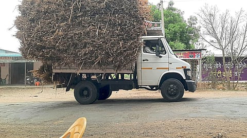 Fodder Shortage